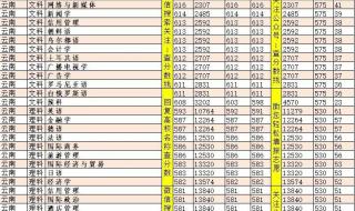 西安大学录取分数线