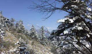 西岭雪山旅游攻略