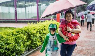 暴雨黄色预警要上学吗