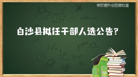 2020年最新干部任前公示 白沙县拟任干部人选公告