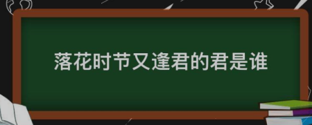 落花时节又逢君的君 正是江南好风景落花时节又逢君的君是什么意思